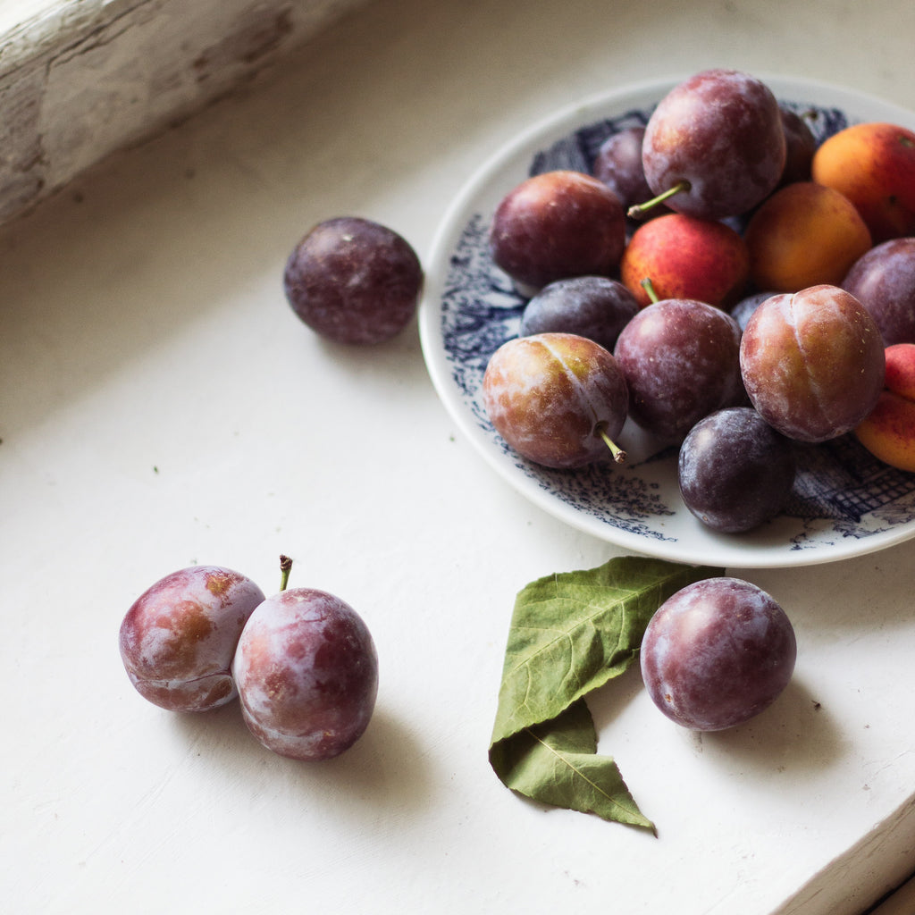What is plum oil? The hydrating hero in organic skincare